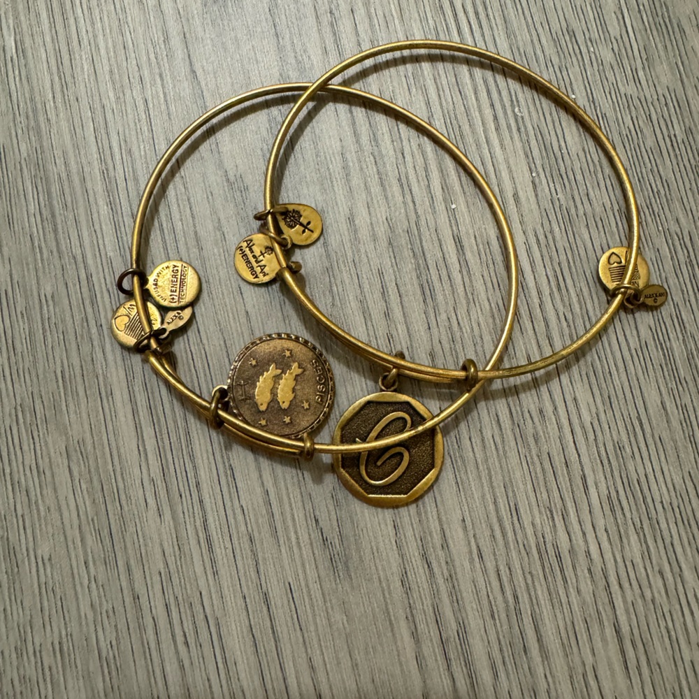 Alex & (And) Ani Gold Bracelet Duo